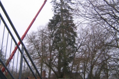 Ausbaggern des Dorfteiches 2005 und 2006