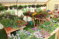 Butterkuchenfest 2014