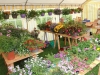 Butterkuchenfest_2014_001