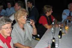 Gartenfest 2008