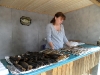 sam_0414